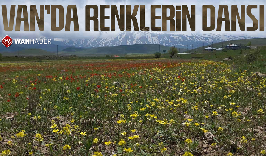 Van’da renklerin dansı