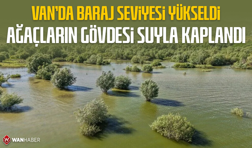 Van'da baraj seviyesi yükseldi, ağaçların gövdesi suyla kaplandı