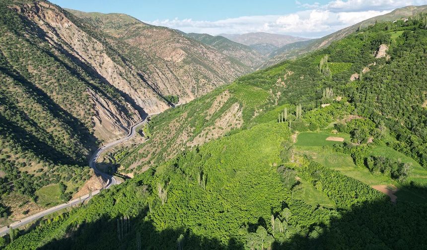 Hizan, doğaseverlerin yeni rotası oldu