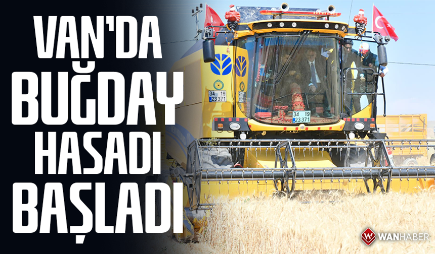 Van’da buğday hasadı başladı