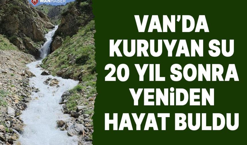 Van Çatak'ta kuruyan su kaynağı 20 yıl sonra yeniden akmaya başladı