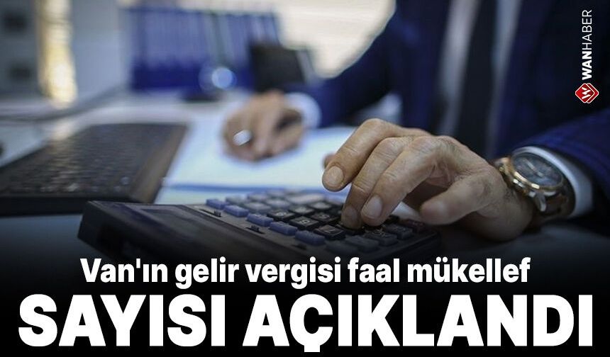 Van'ın gelir vergisi faal mükellef sayısı açıklandı