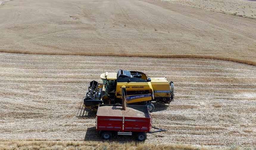 Hububatta, Cumhuriyet tarihinin en yüksek rekolte beklentisi