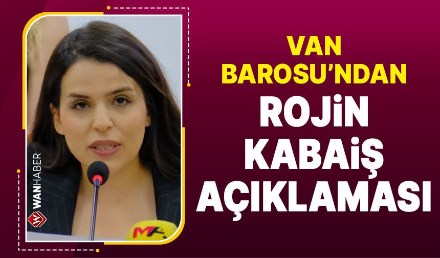 Van Barosu Rojin Kabaiş dosyasındaki hukuki sürece ilişkin açıklama yaptı