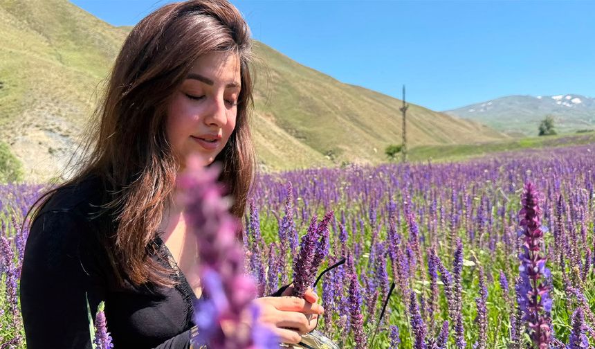 Van Başkale'deki lavanta tarlası ilgi odağı oldu