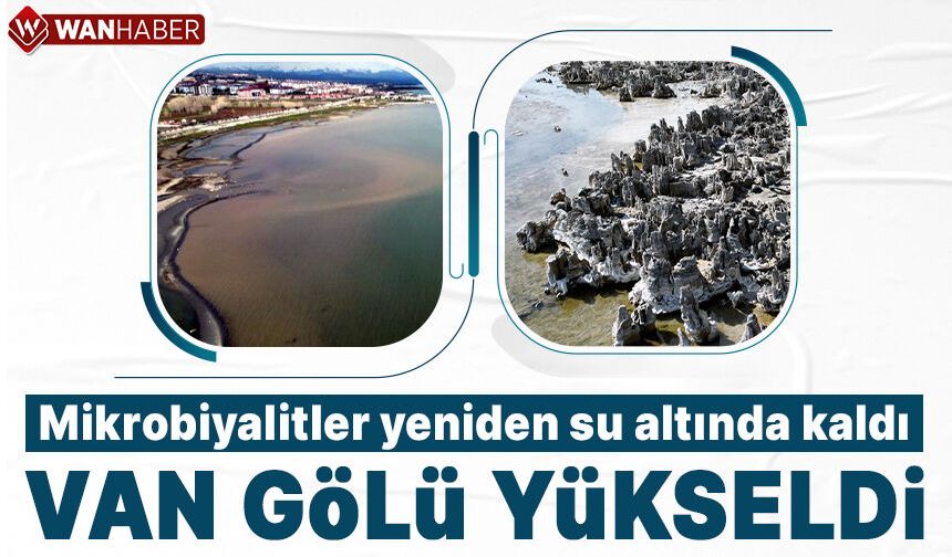 Van Gölü'ndeki mikrobiyalitler yeniden su altında kaldı