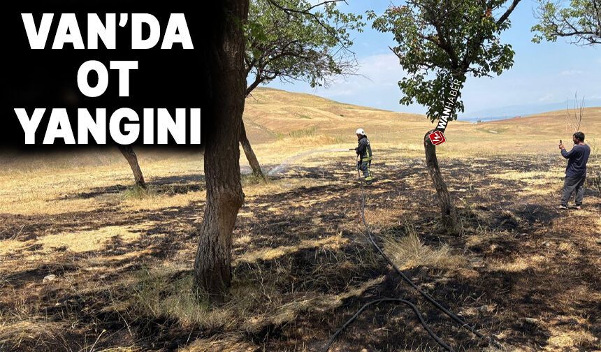 Muradiye'de Otlak Yangınına İtfaiye Müdahalesi