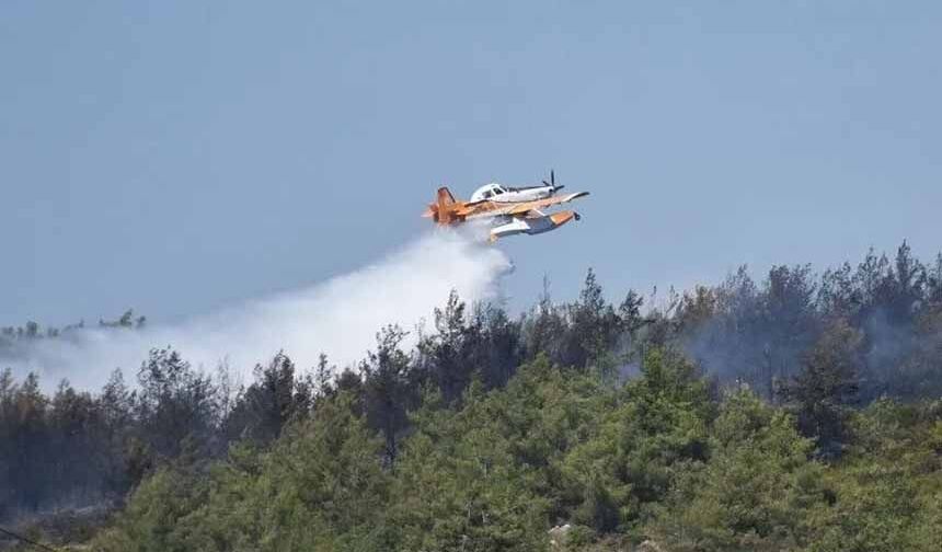 Orman yangınları için kritik dönem uyarısı