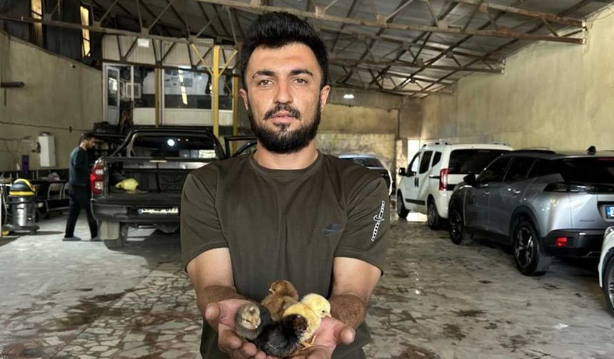 Bir belgesel izledi, hayatı değişti