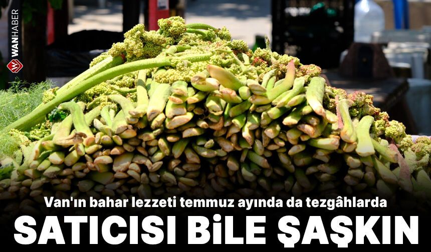 Van'ın bahar lezzeti uçkun, temmuz ayında da tezgâhlarda!