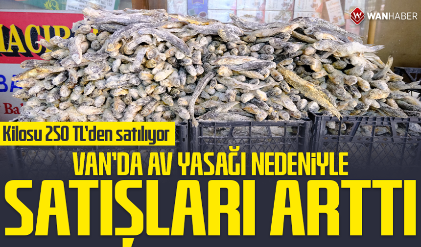 Van’da av yasağı nedeniyle satışları arttı: Kilosu 250 TL’den satılıyor