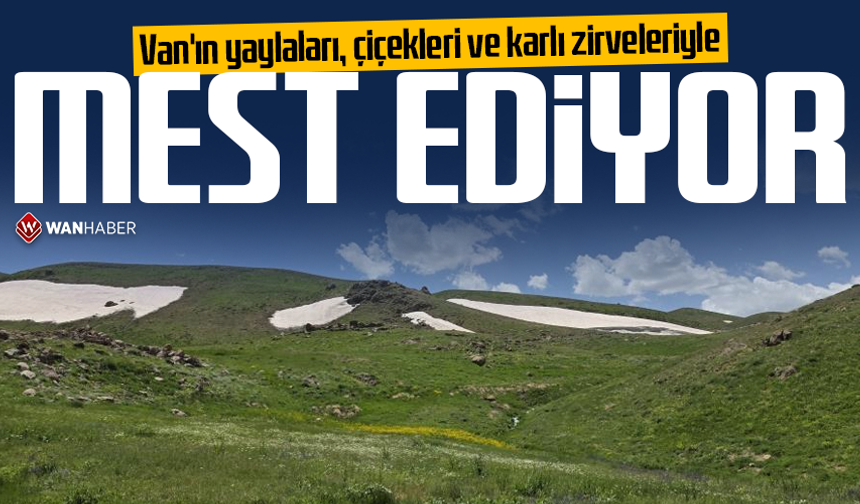Van'ın yaylaları, çiçekleri ve karlı zirveleriyle mest ediyor