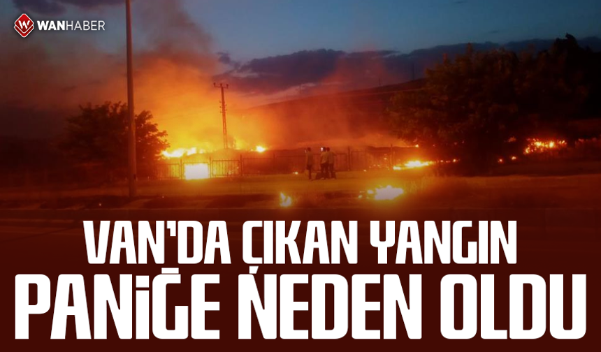 Van'da çıkan yangın paniğe neden oldu