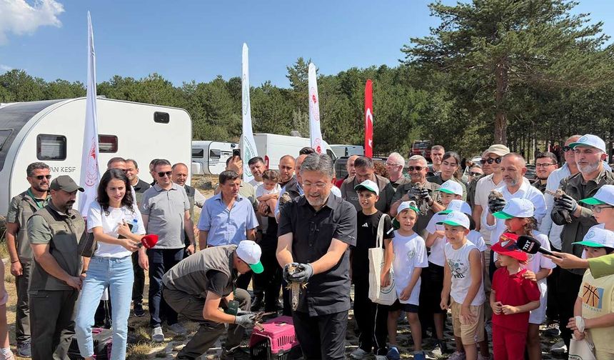 81 ilde 'Aile Kampı'na 40 bin kişi katıldı