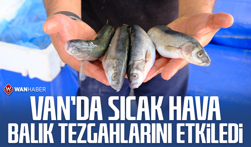 Van’da sıcak hava balık tezgâhlarını etkiledi
