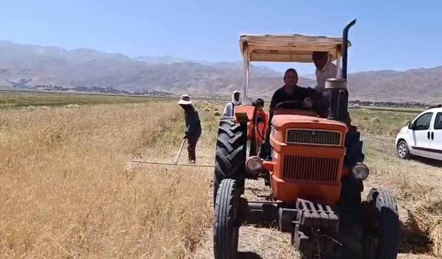 Yüksekova’da sıcak havaya rağmen hasat mesaisi başladı