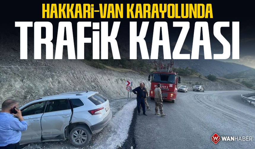 Hakkari-Van karayolunda trafik kazası: 3 yaralı