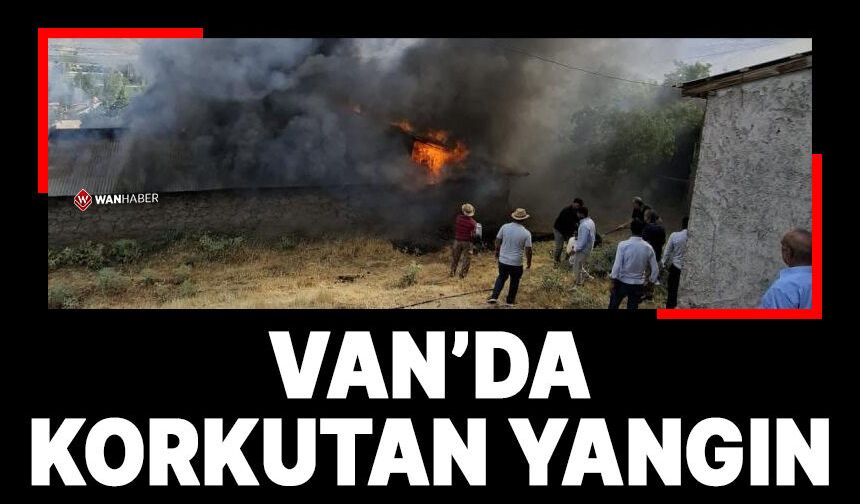 Van'ın Gevaş ilçesinde korkutan yangın!