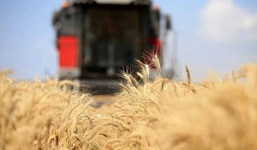 Küresel gıda fiyatları 3,5 yılın zirvesinde