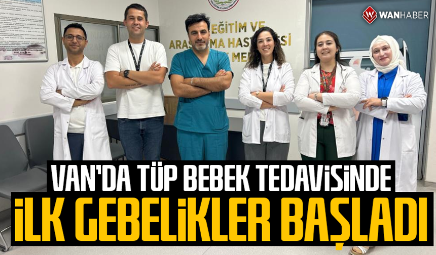 Van'da tüp bebek tedavisinde ilk gebelikler başladı