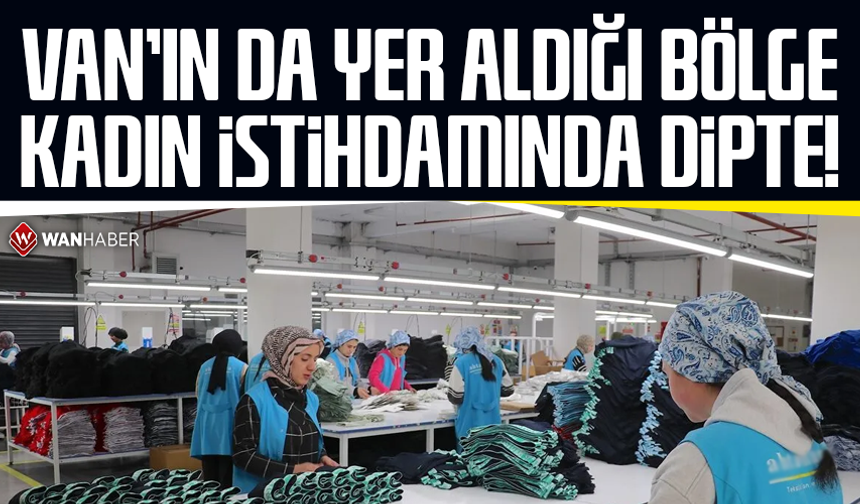Van ve bölge illeri kadın istihdamında dipte!
