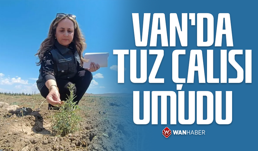Van'da tuz çalısı umudu!
