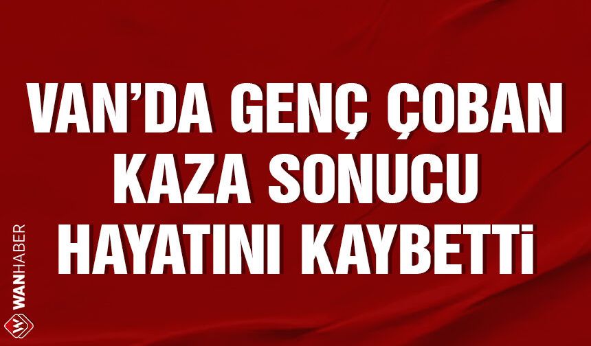 Van'da genç çoban kaza sonucu hayatını kaybetti