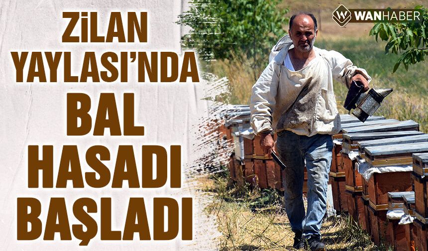 Van'da bir zamanlar terörle anılan Zilan Yaylası'nda bal hasadı başladı