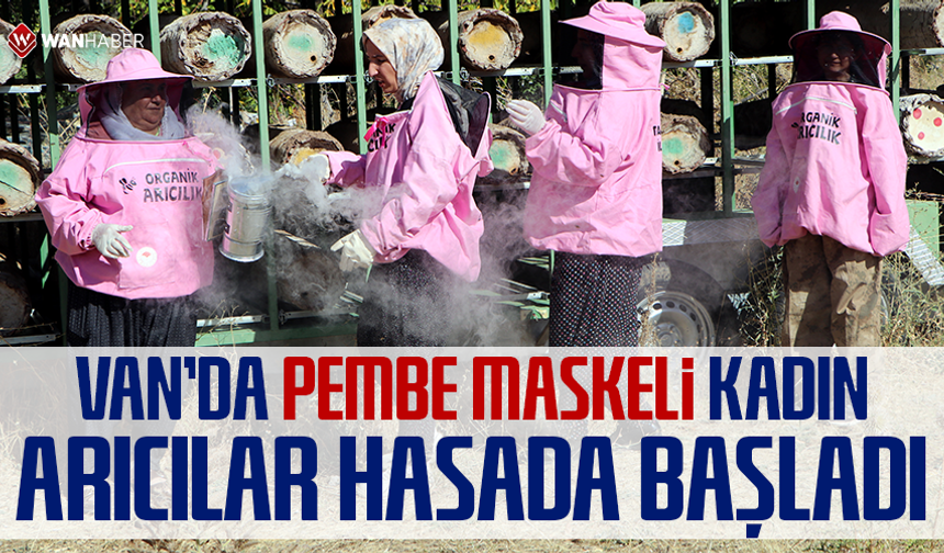 Van'da 'Pembe maskeli’ kadın arıcılar hasada başladı