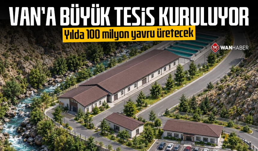 Van'a büyük tesis kuruluyor! Yılda 100 milyon yavru üretecek