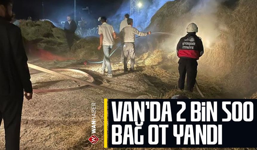 Van'da 2 bin 500 bağ ot yandı