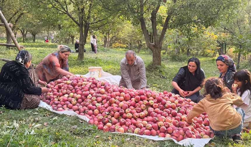 Devlet desteğiyle kurduğu bahçede 15 yıldır elma üretiyor