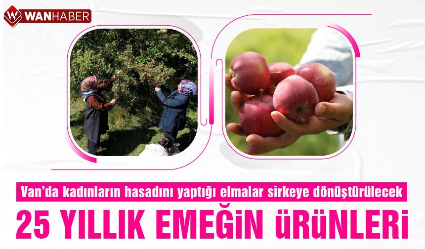 Van'da kadın kooperatifinden elma ve alıç hasadı