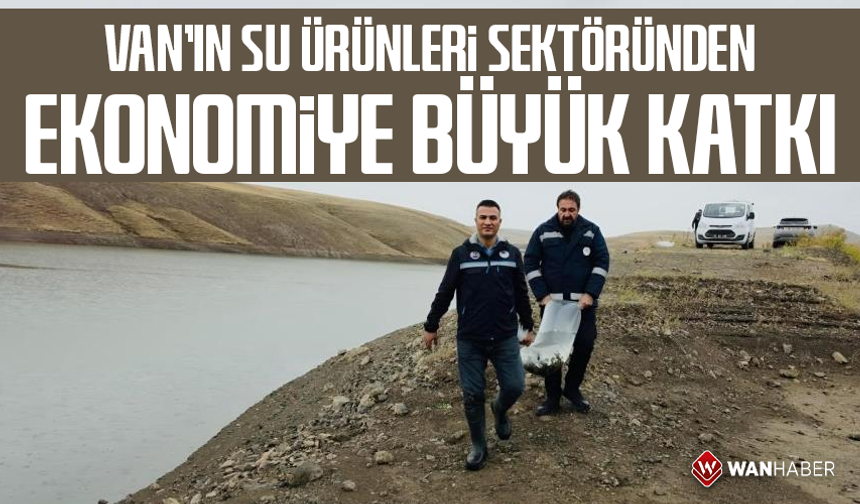 Van'ın su ürünleri sektöründen ekonomiye 25 milyon dolarlık katkı