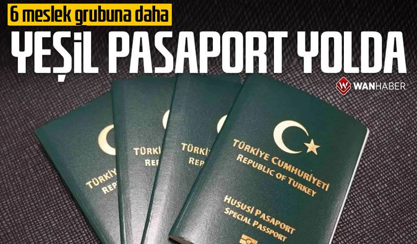 6 meslek gurubuna daha yeşil pasaport geliyor
