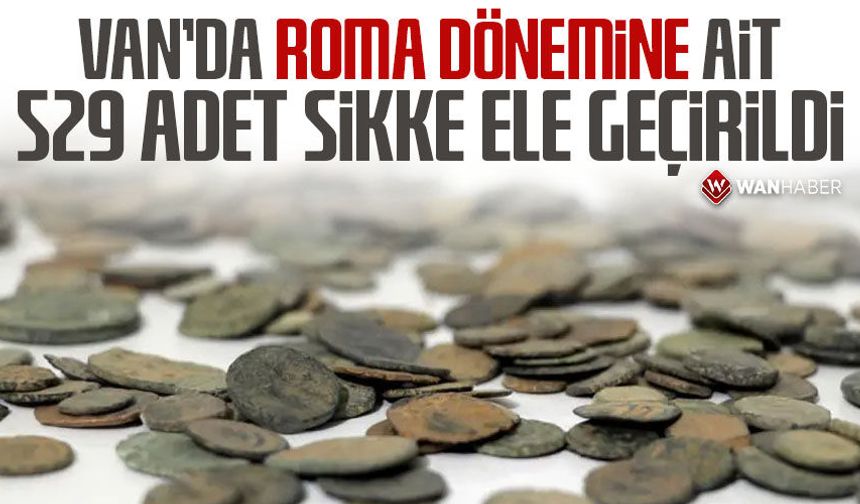 Van'da Roma dönemine ait 529 adet sikke ele geçirildi
