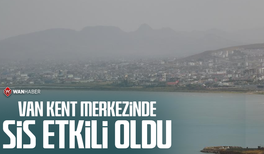 Van kent merkezinde sis etkili oldu