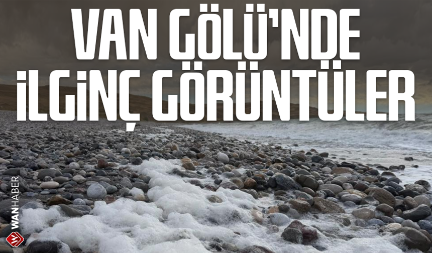 Van Gölü'nde ilginç görüntüler ortaya çıktı