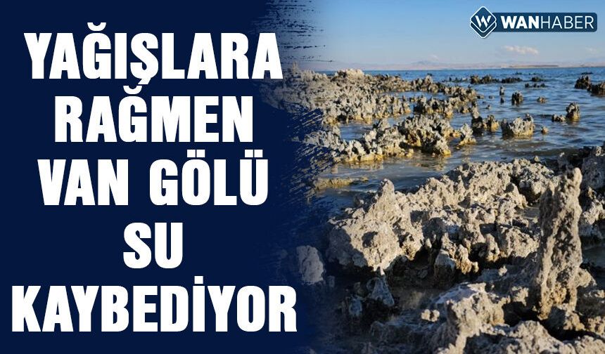 Van Gölü'nde su seviyesindeki düşüş devam ediyor