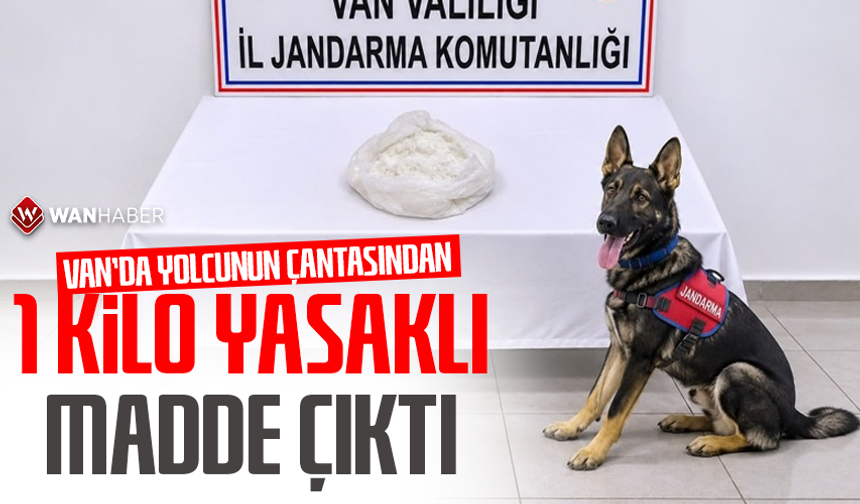 Van'da yolcunun çantasından 1 Kilo yasaklı madde çıktı