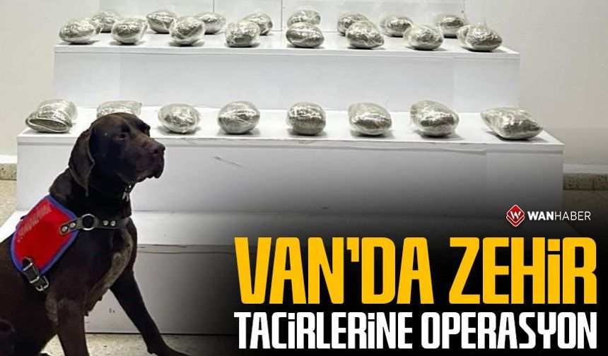 Başkale’de 10 kilo toz esrar ele geçirildi