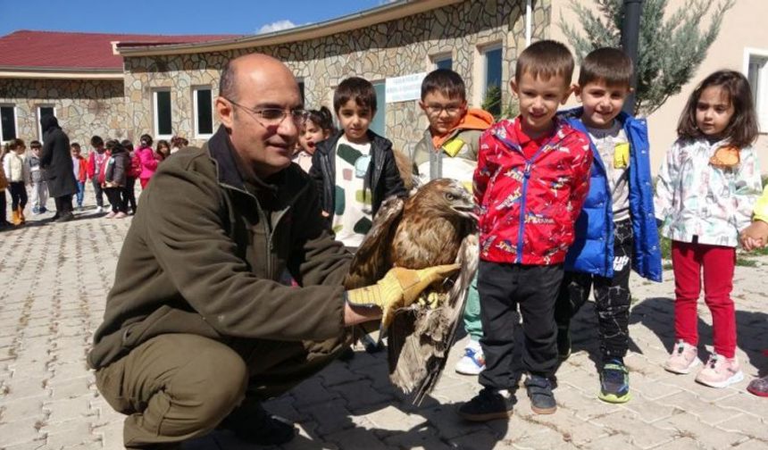 Minik öğrenciler yaban hayvanlarını yakından gördü