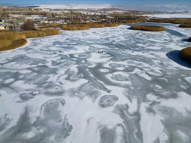 Kuş cenneti Dilkaya Sazlığı'nın yüzeyi buz tuttu
