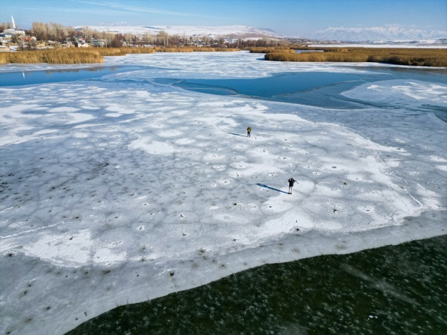 Kuş cenneti Dilkaya Sazlığı'nın yüzeyi buz tuttu