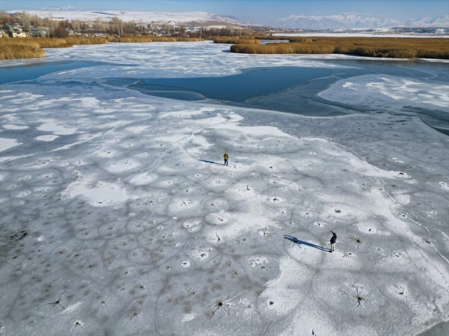 Kuş cenneti Dilkaya Sazlığı'nın yüzeyi buz tuttu