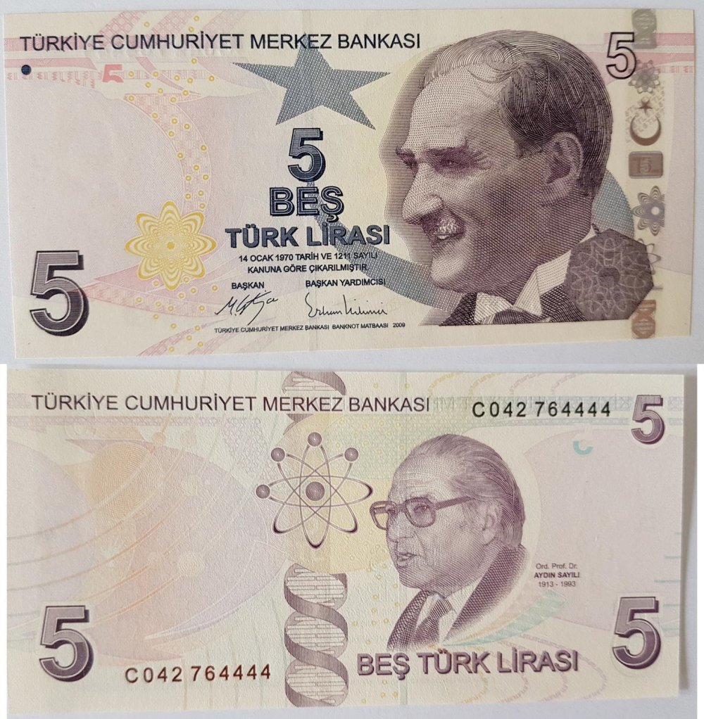 Турецкие лиры купить в москве наличные. Турецкие деньги. Турецкие Лиры бумажные банкноты.
