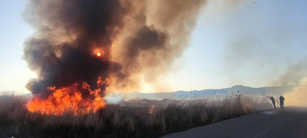 Van’daki sulak alan yangınları artmaya başladı