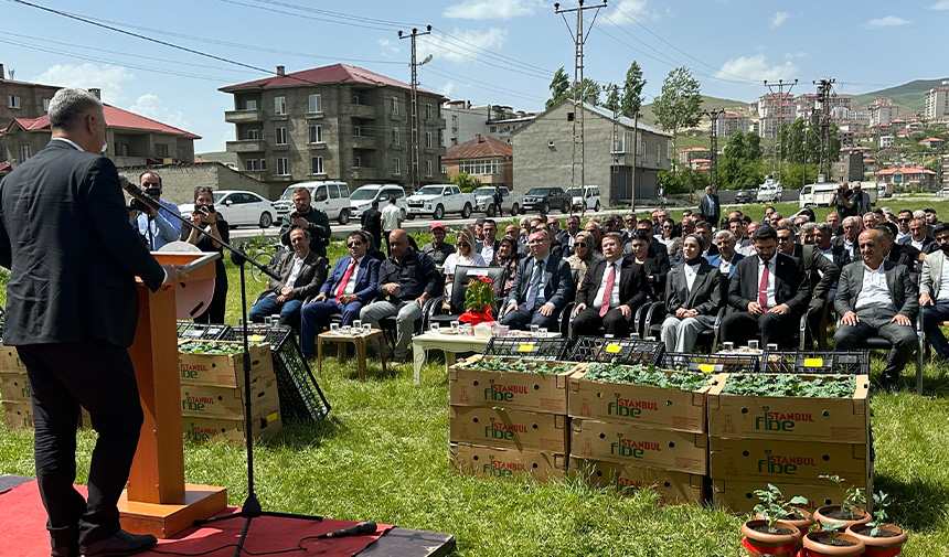 Yüksekova’da 257 Çiftçiye 109 Bin Fide Dağıtıldı.jpg00