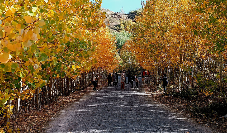 Nemrut Kalderası.jpg146