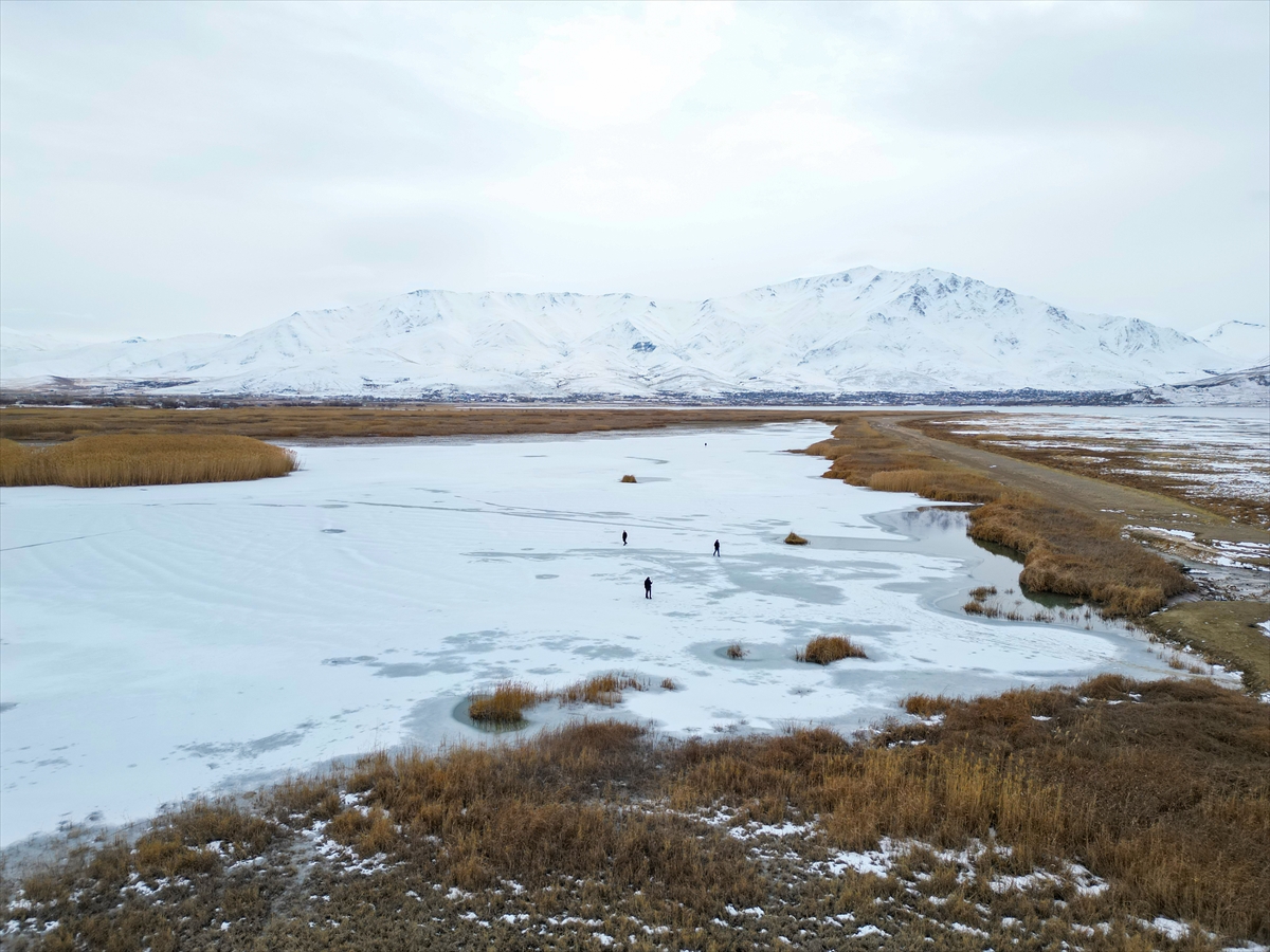 A A 20250120 36805414 36805405 V A N D A K I D I L K A Y A S A Z L I G I N I N B U Y U K B O L U M U B U Z L A K A P L A N D I-1